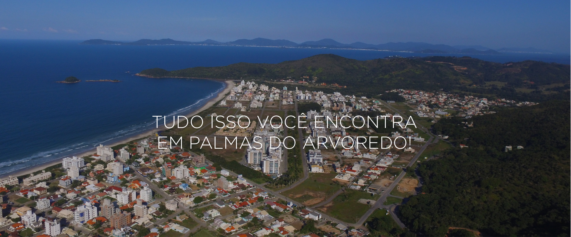 palmas?15991